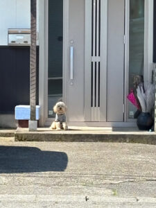 やってしまった🥲